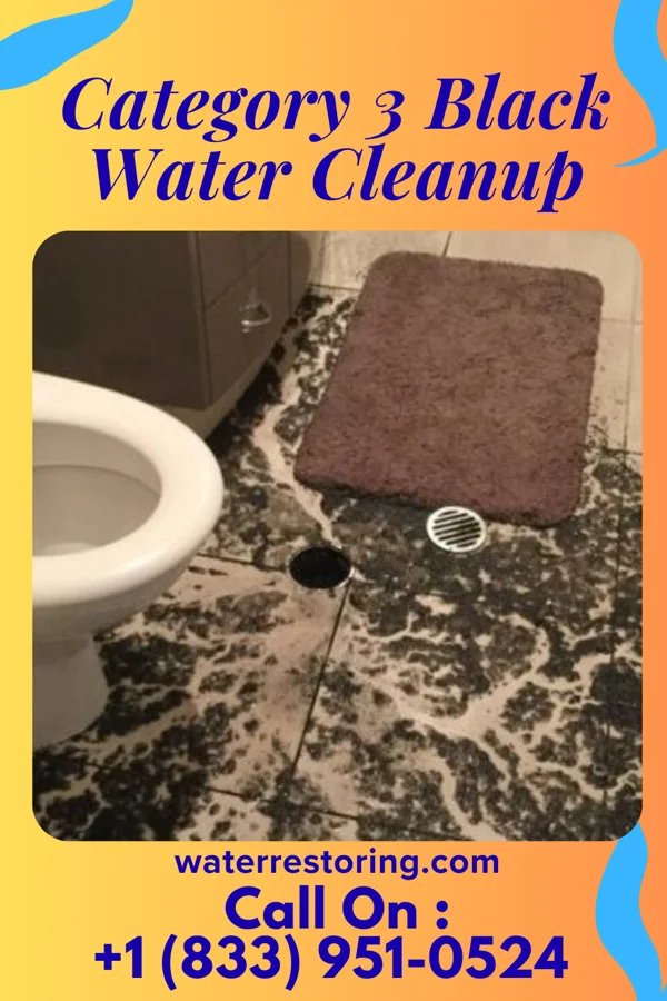 Category 3 Black Water Cleanup in Kingston, NY