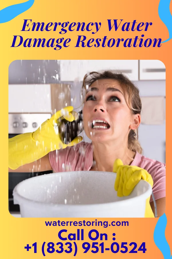 Emergency Water Damage Restoration in Kingston, NY