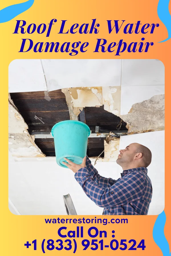 Roof Leak Water Damage Repair in Kingston, NY