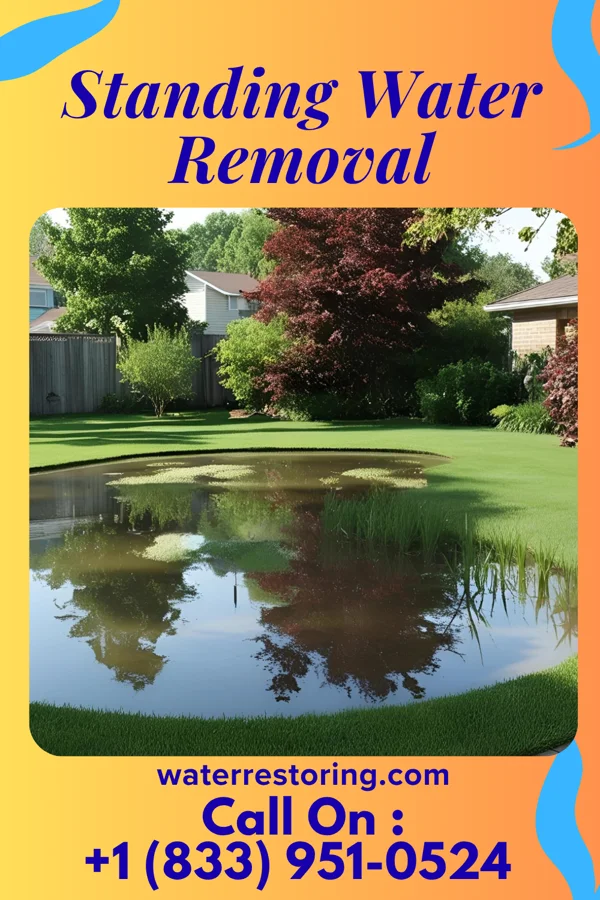 Standing Water Removal in Kingston, NY
